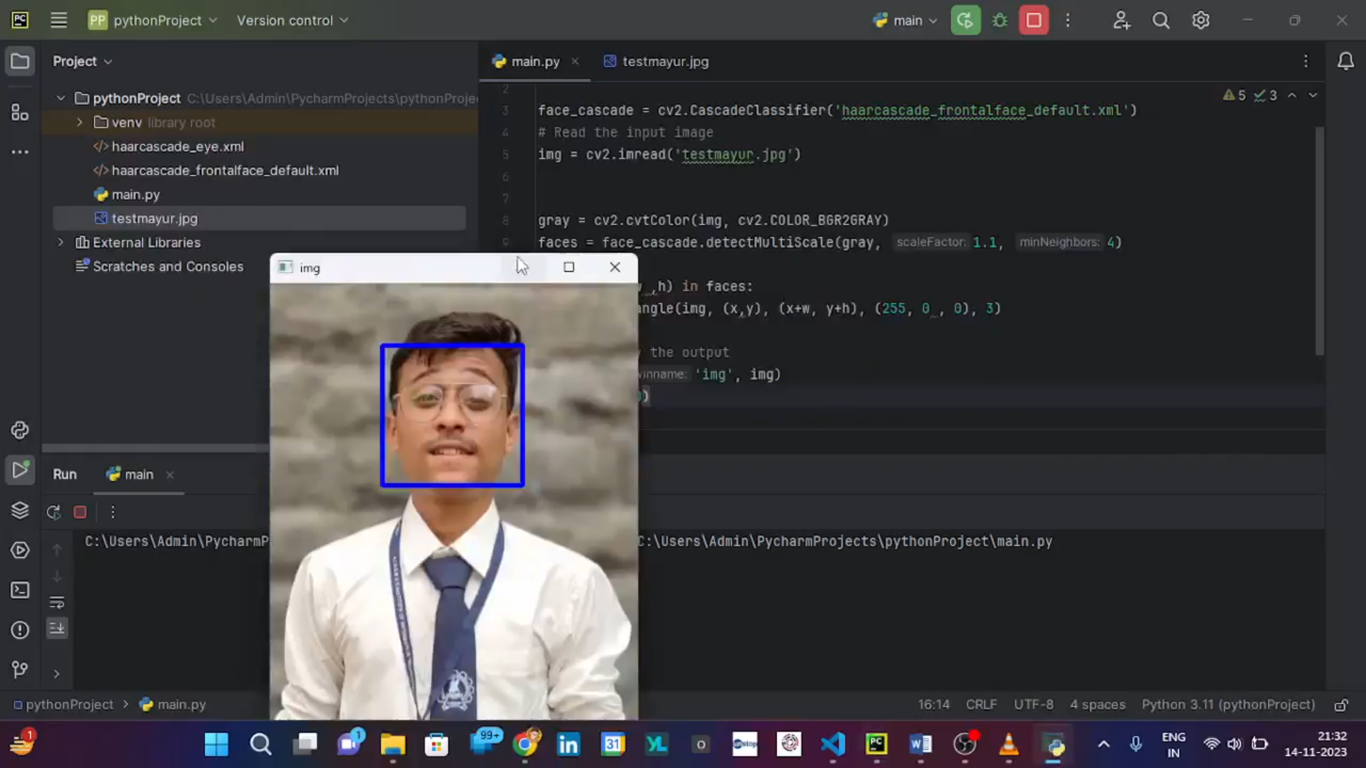 Face tracking view